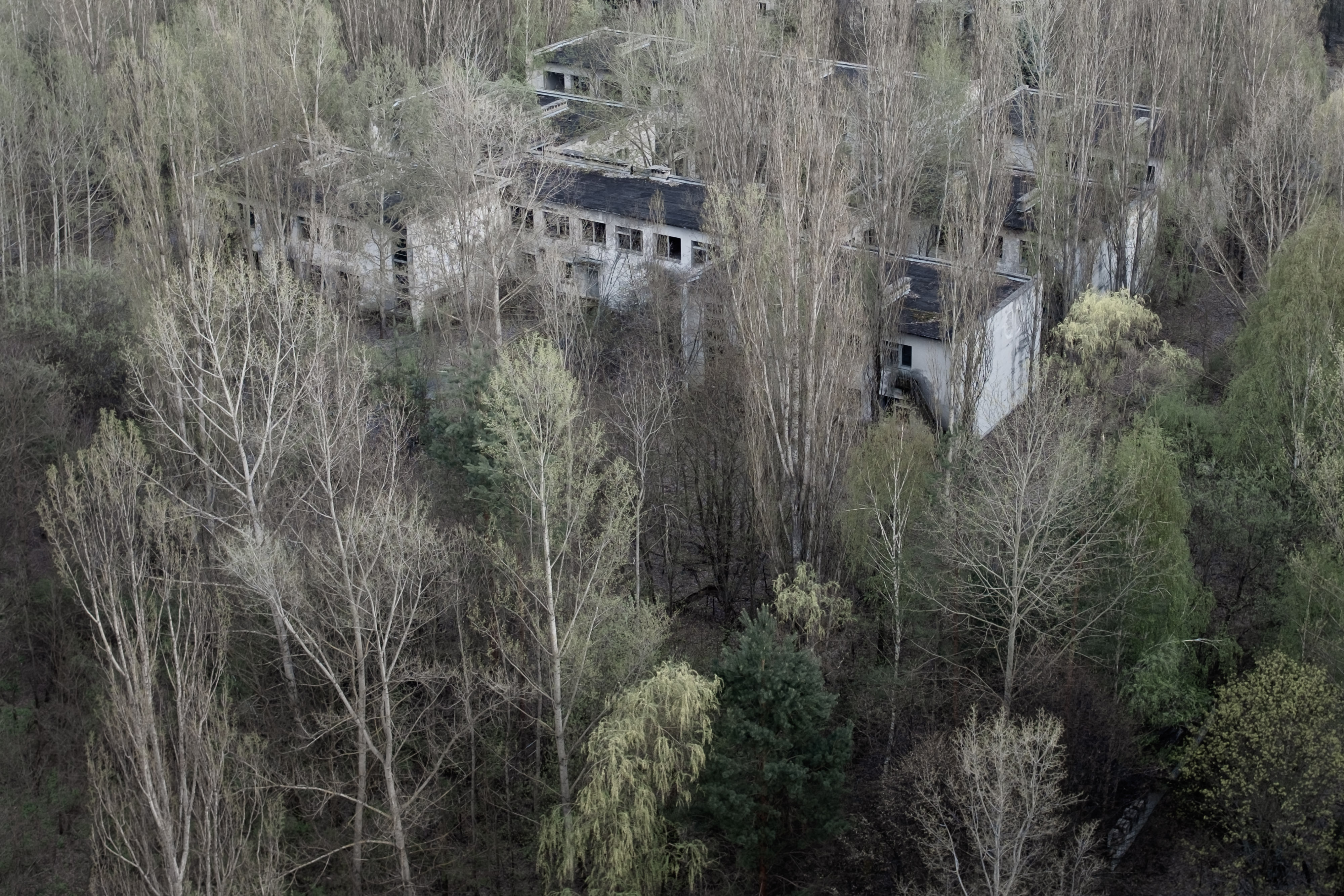Chernobyl